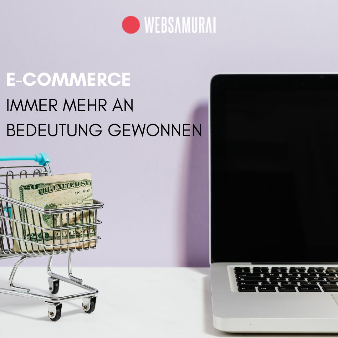 Mit Formular Kontakt wählen und Kategorie,SEO&URL prüfen - Websamurai AG die innovative Webagentur in Aarau und Zürich 1